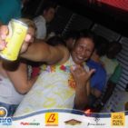 Bloco Skol Folia